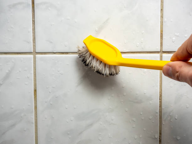 Best Home Mold Removal  in Henderson, KY