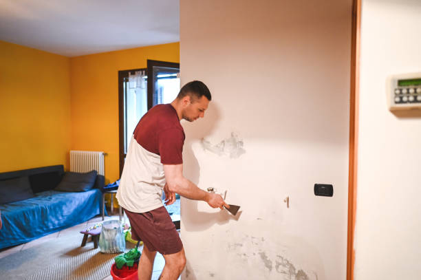 Best Crawl Space Mold Removal  in Henderson, KY